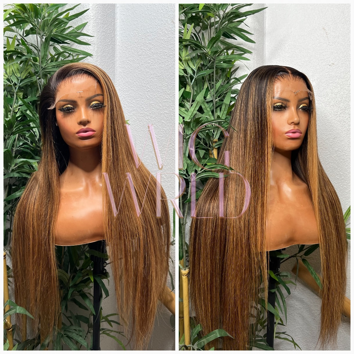 The ‘ELODIE’ Unit